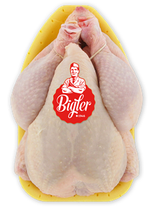 Güggeli 